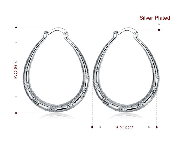 Silver Large Hoop Earrings for Women